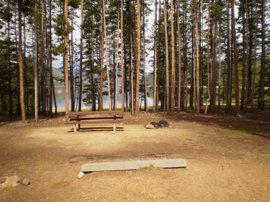 Baby Doe Campground Pet Policy