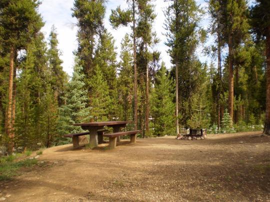 Pet Friendly Baby Doe Campground