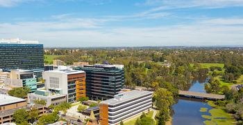 Meriton Serviced Apartments Church Street Pet Policy