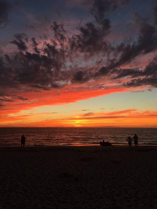 Pet Friendly Hotels In Cape May Point Nj Bringfido