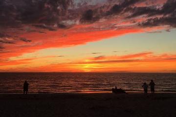 Pet Friendly Hotels In Cape May Point Nj Bringfido