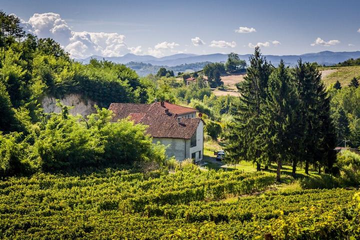Pet Friendly Countryhouse in the Vineyards