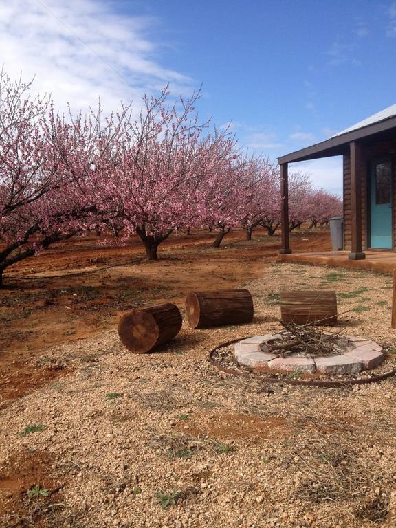 Jenschke Orchards B Amp B Pet Policy