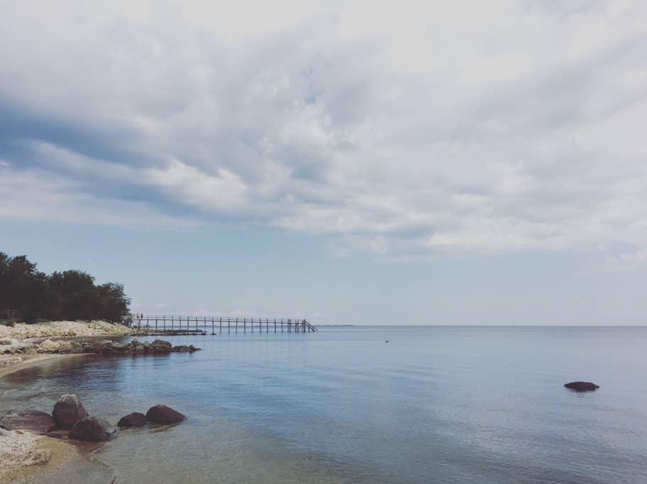 Winnipeg Beach Airbnb Rentals Pet Policy