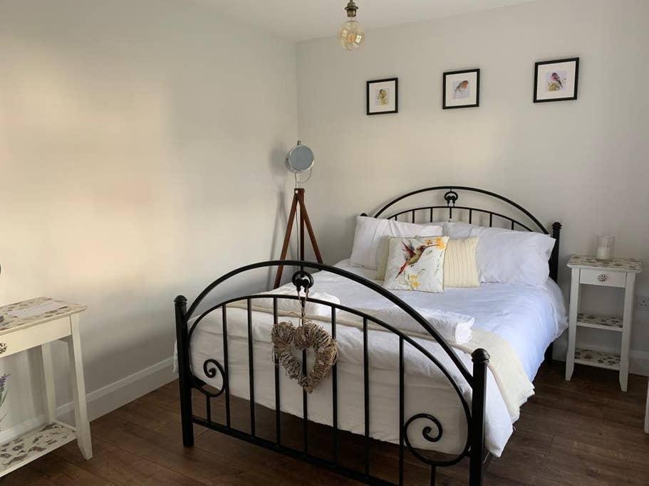 Pet Friendly Coleraine Airbnb Rentals
