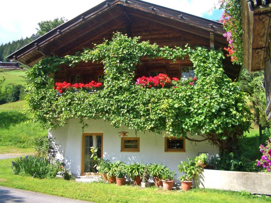 Pet Friendly Reith im Alpbachtal Airbnb Rentals