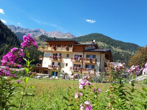 Pet Friendly Hotel Ortles Dolomiti Walking & Spa