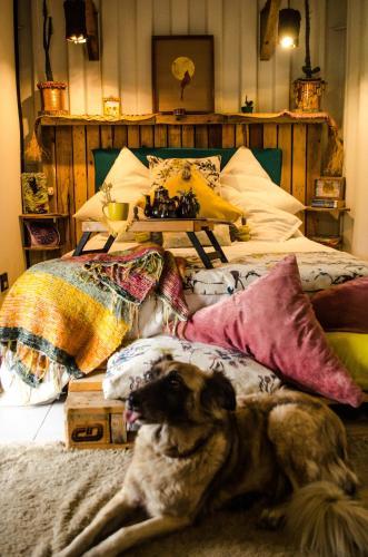 Pet Friendly Glamping en Container Sostenible CABINTAINER
