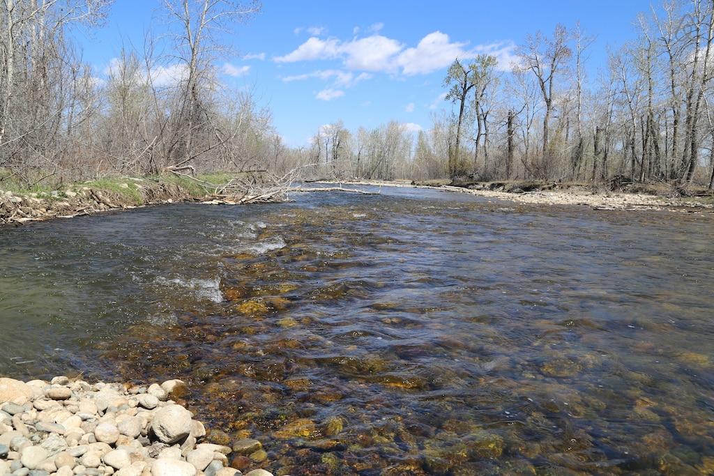 Columbus Airbnb Rentals Pet Policy