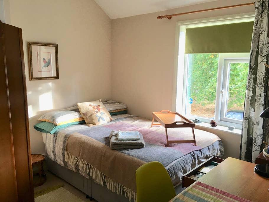 Pet Friendly Exeter Airbnb Rentals