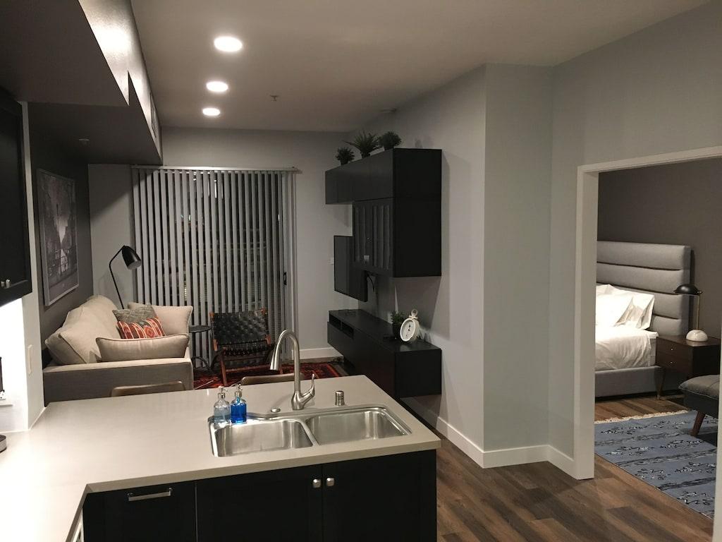 Gaslamp Condo Downtown San Diego Pet Policy