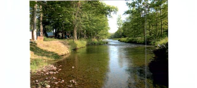 Pet Friendly Neversink River Campground