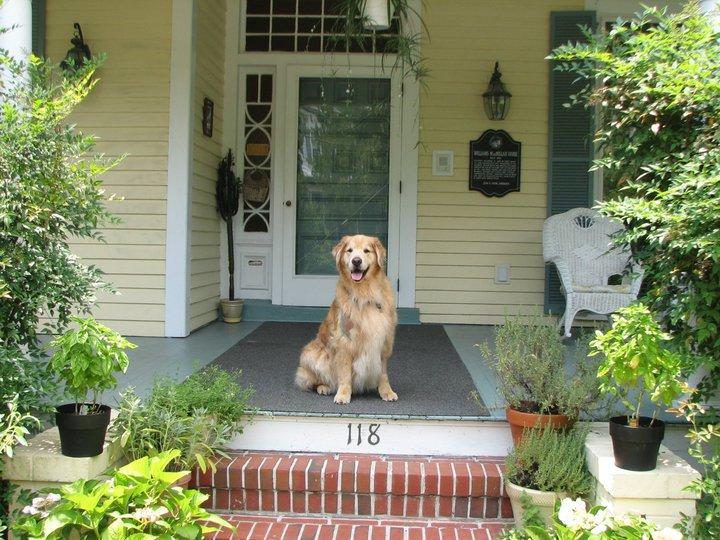 Camellia Cottage Bed Breakfast Pet Policy