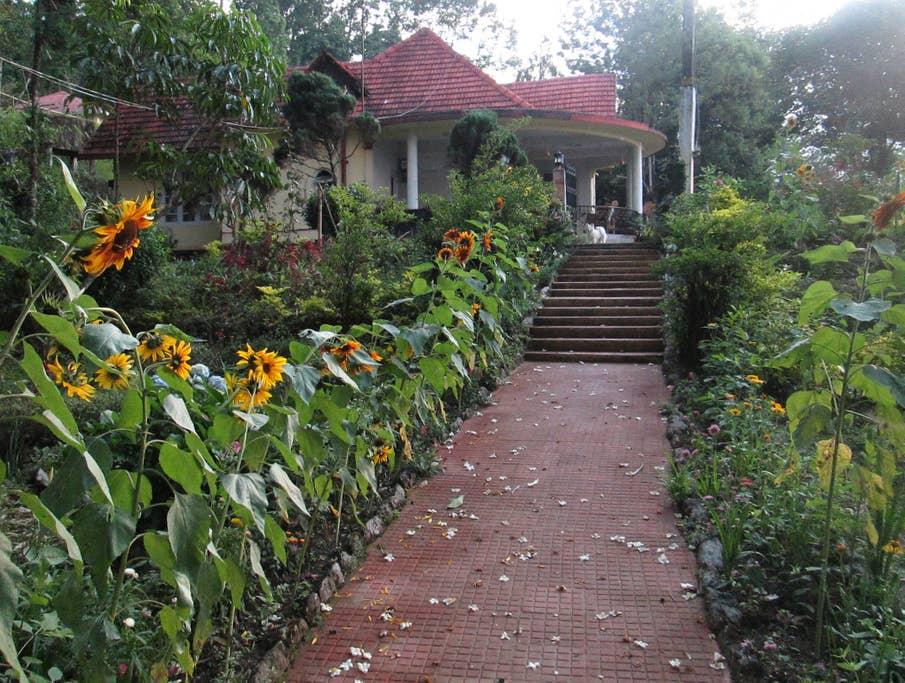 Pet Friendly Kalimpong Airbnb Rentals