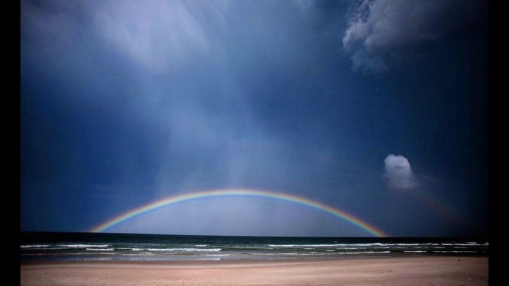 2br/2ba New Smyrna Beach House Pet Policy