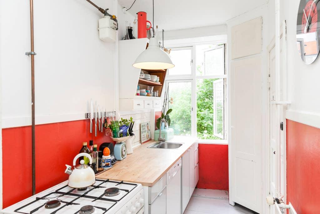 Pet Friendly Frederiksberg Airbnb Rentals