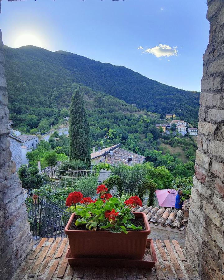 Pet Friendly B&B Bivacco Frasassi Climbing & Trail Running House