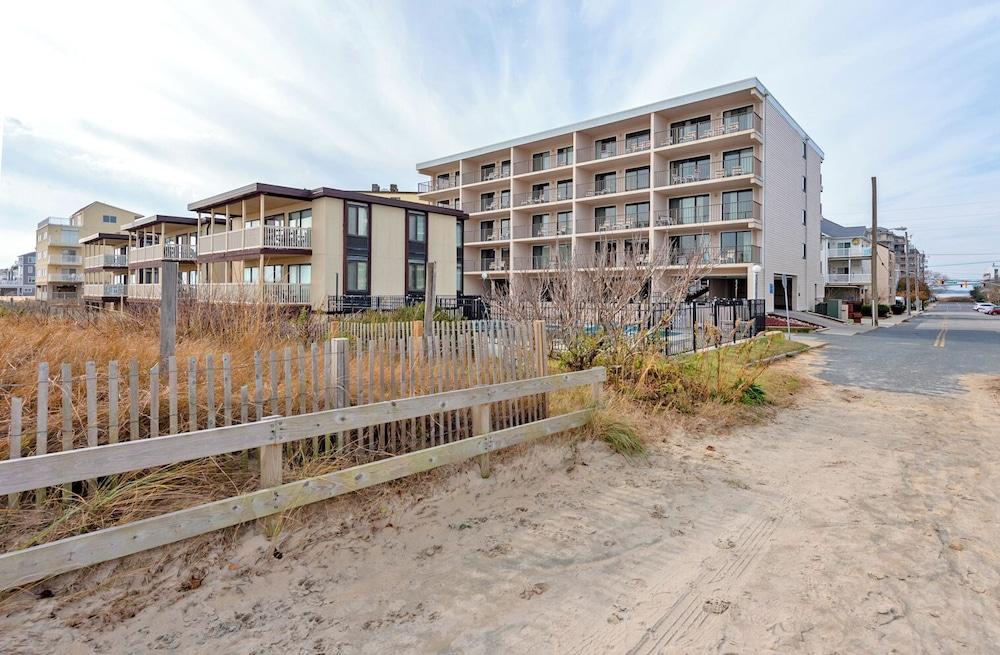 Pet Friendly Vacation Rentals in Ocean City, MD BringFido