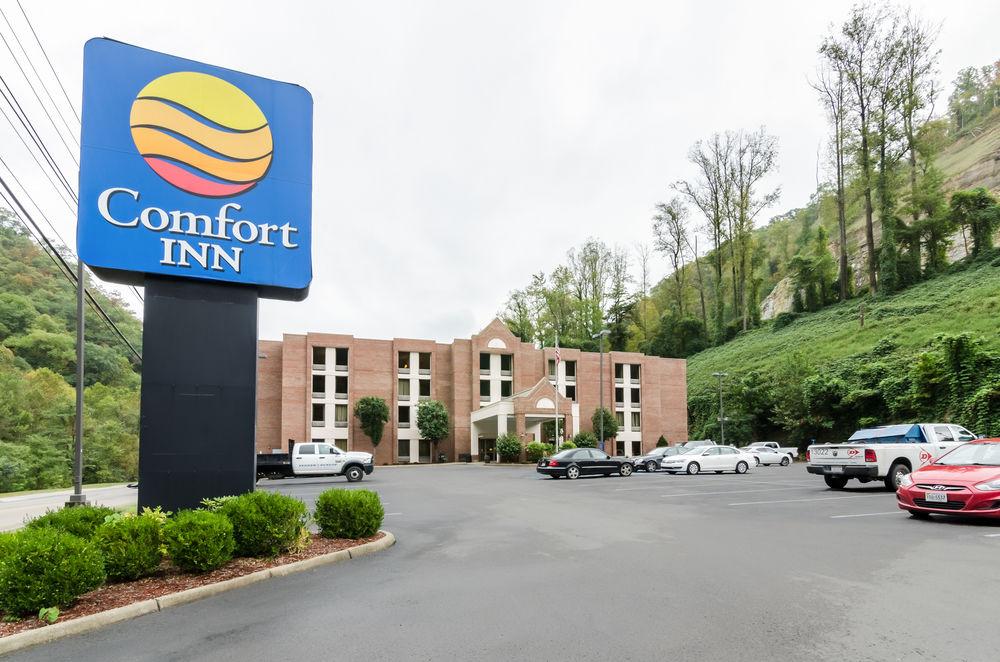 Comfort Inn Pet Policy