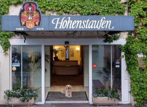 Pet Friendly Hotel Hohenstaufen