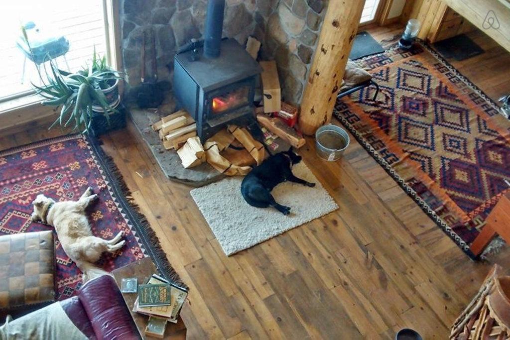 Pet Friendly Monte Vista Airbnb Rentals