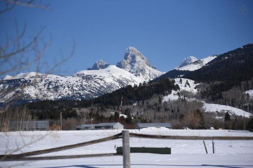 Alta Airbnb Rentals Pet Policy