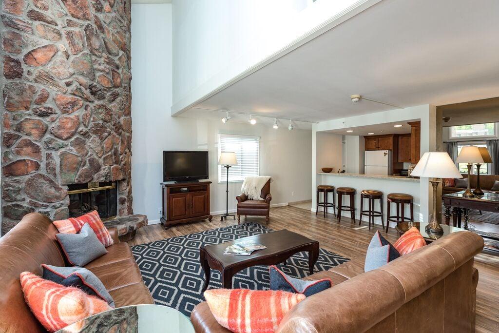 2/3 Condo in Vail 605 Pet Policy