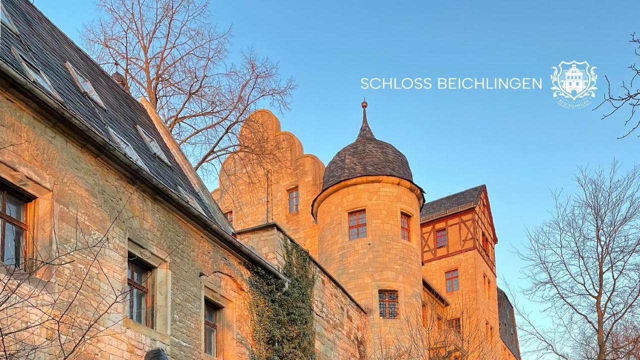 Pet Friendly Schloss Beichlingen