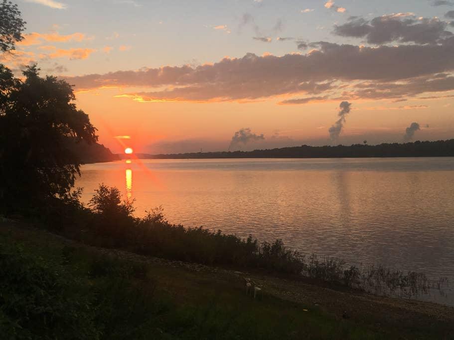 Wrightsville Airbnb Rentals Pet Policy