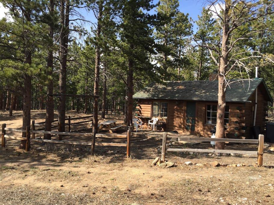 Pet Friendly Vacation Rentals In Allenspark Co Bringfido