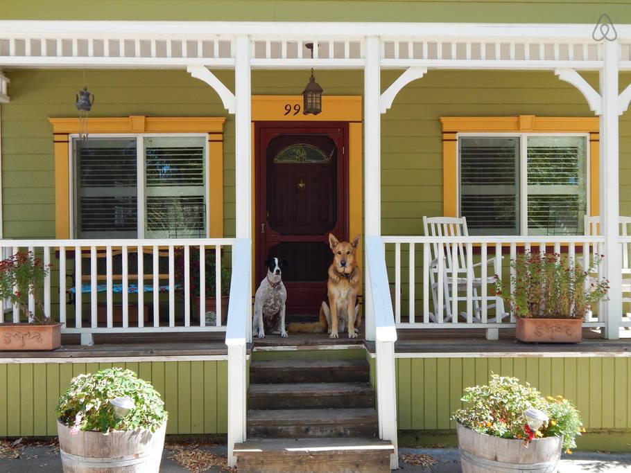 Pet Friendly Windsor Airbnb Rentals