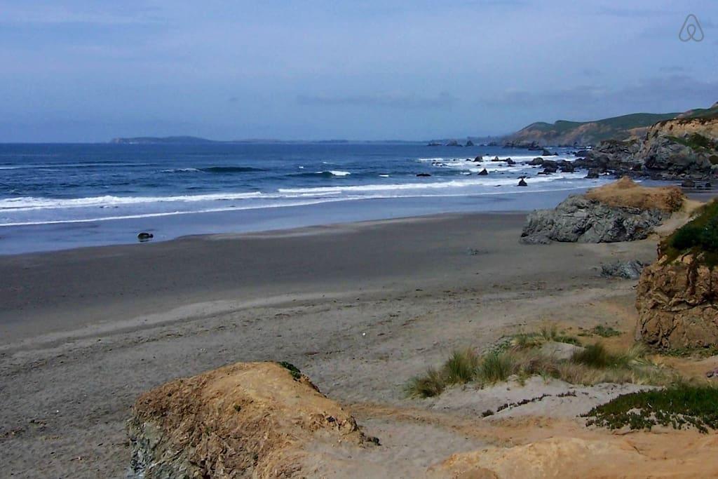 Bodega Bay Airbnb Rentals Pet Policy