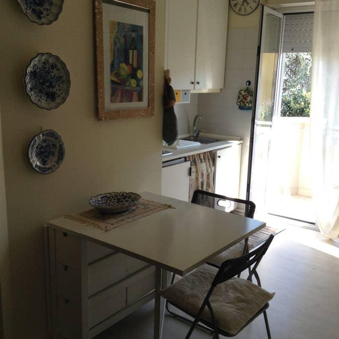 Pet Friendly Grado Airbnb Rentals