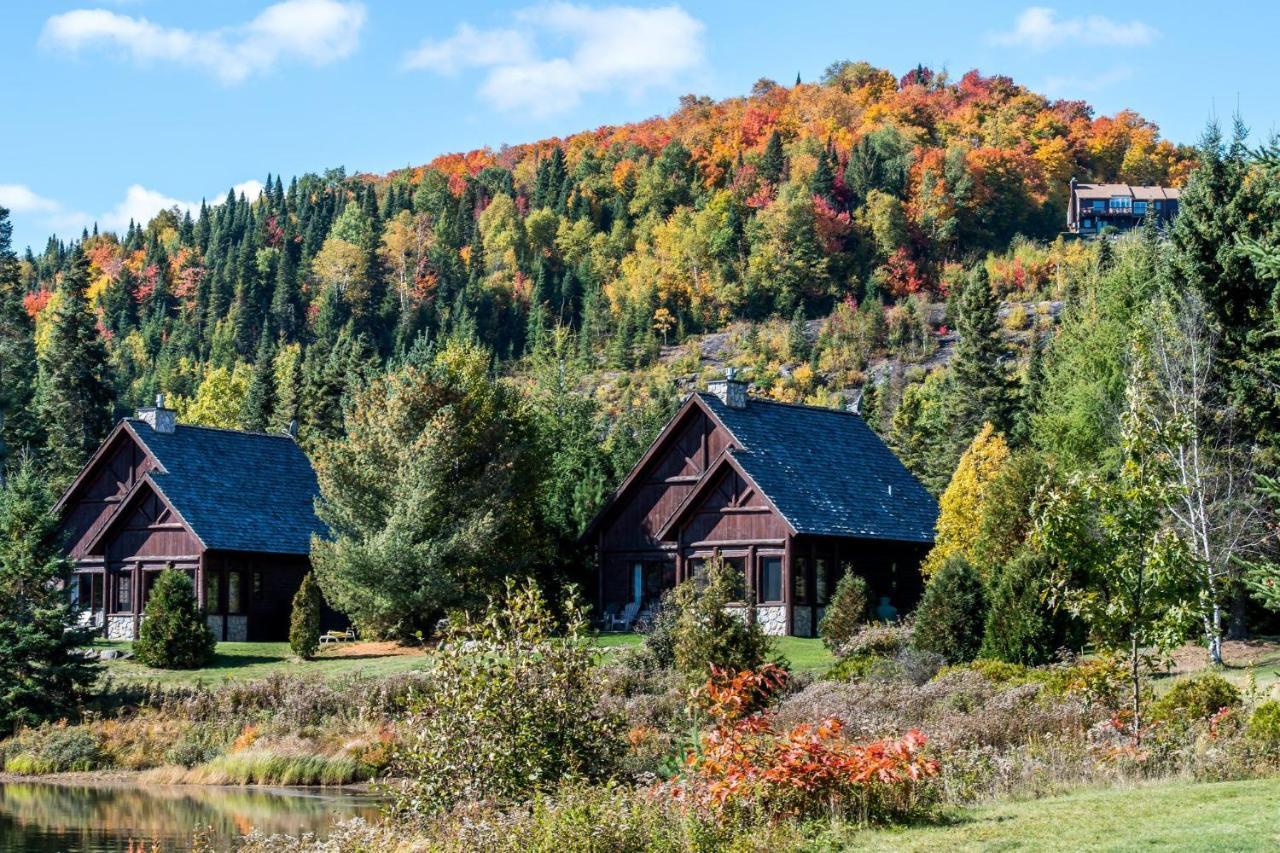 Royal Laurentien Pet Policy