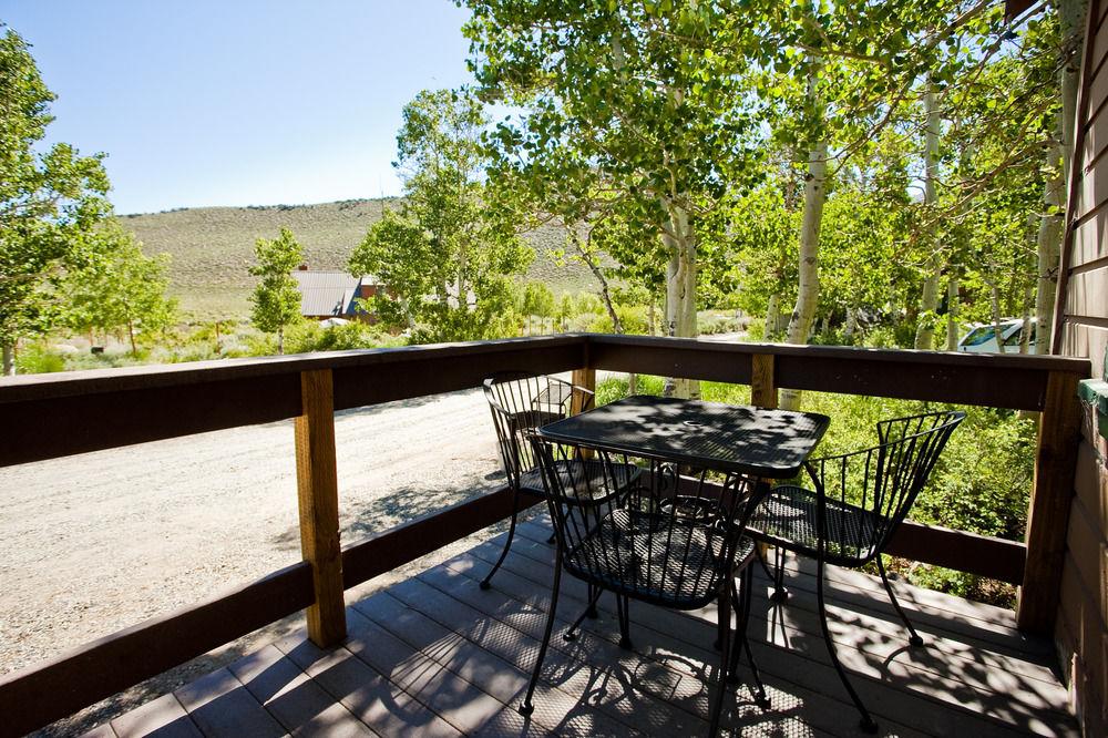 Convict Lake Resort Pet Policy