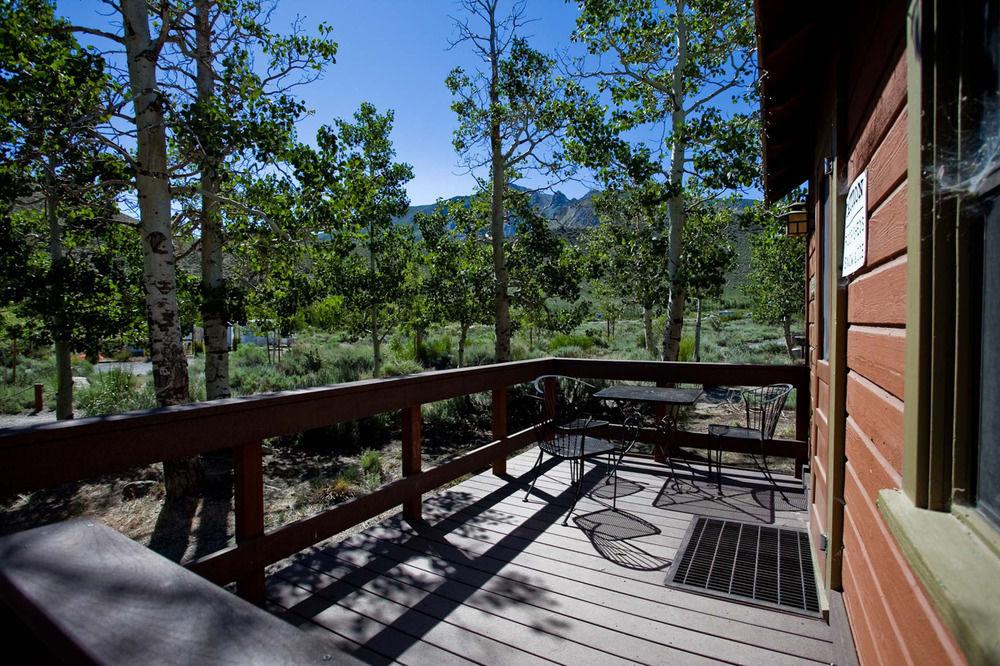 Convict Lake Resort Pet Policy