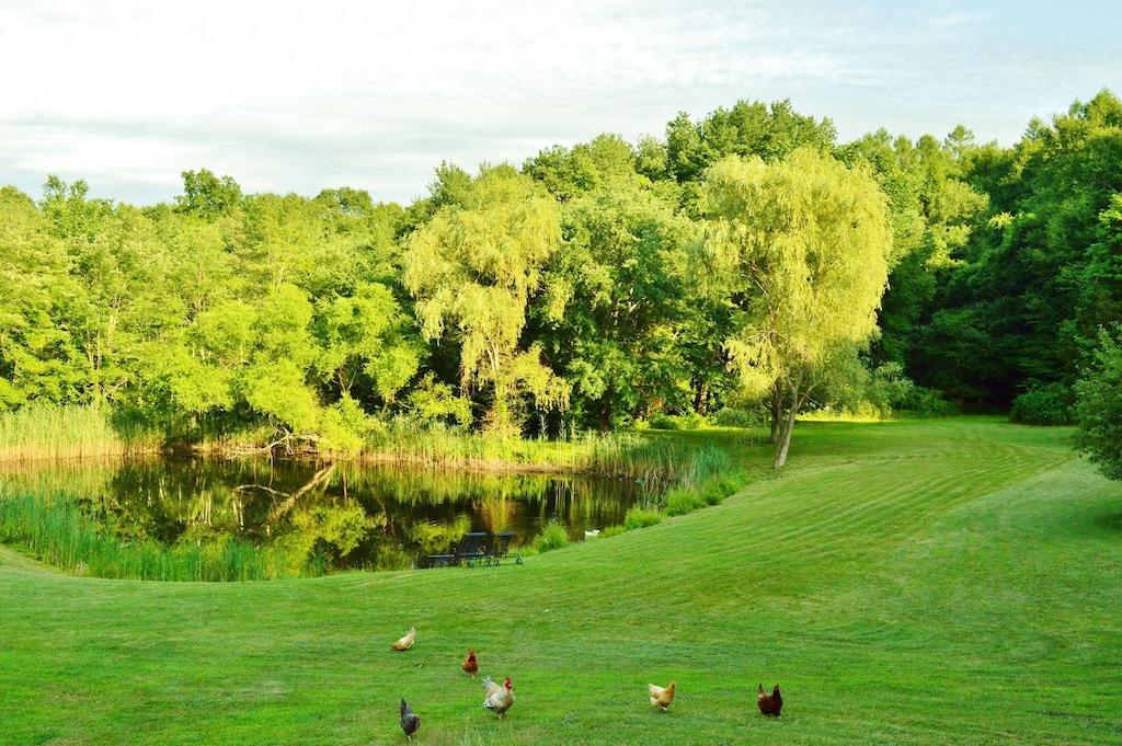 Private Log Cabin 5 Minutes From Foxwoods Casino Pet Policy