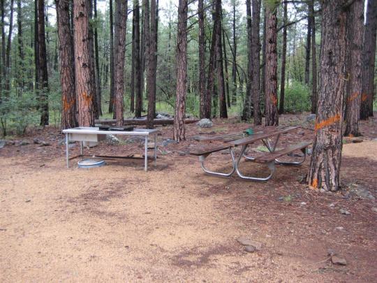 Apache Maid Cabin Pet Policy