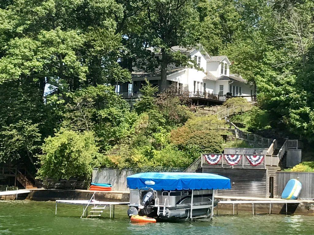 argos cat friendly tree