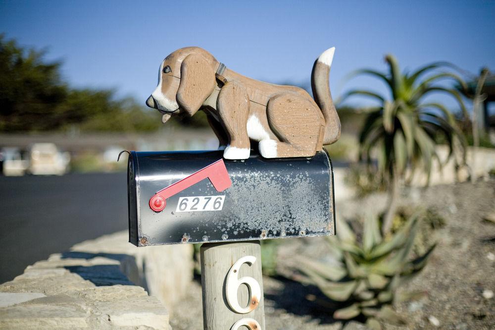 Cambria Shores Inn Pet Policy