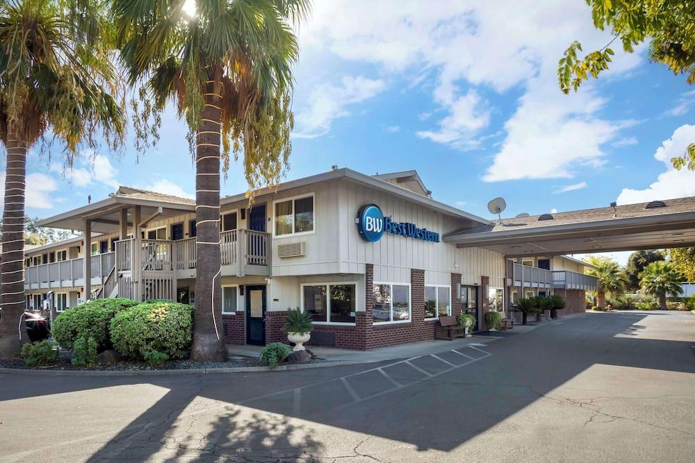 Pet Friendly Best Western Shadow Inn