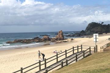Pet Friendly Hotels In Port Macquarie Au Bringfido