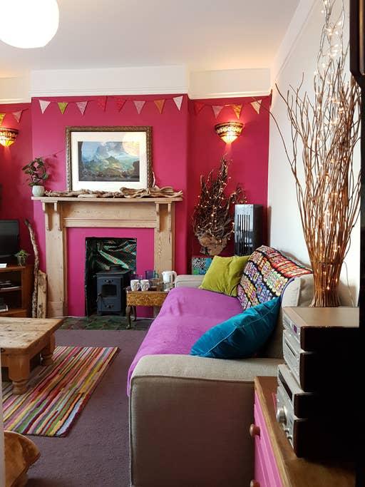 Pet Friendly Aberystwyth Airbnb Rentals