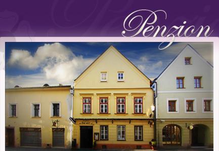 Pet Friendly Penzion U Lucerny