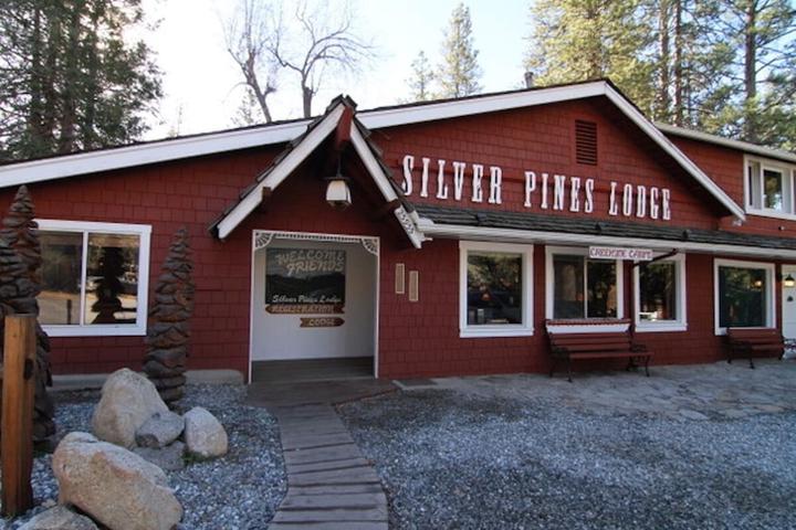 Pet Friendly Silver Pines Lodge