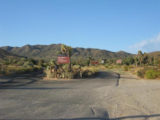 Black Rock Campground Pet Policy