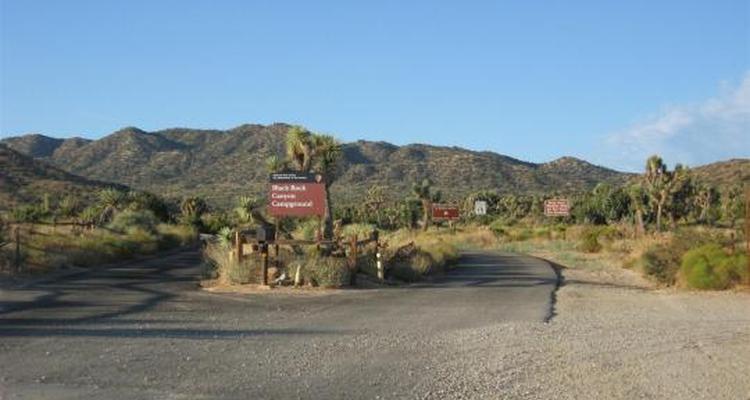 Black Rock Campground Pet Policy