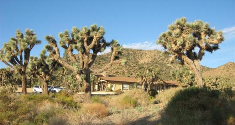 Black Rock Campground Pet Policy