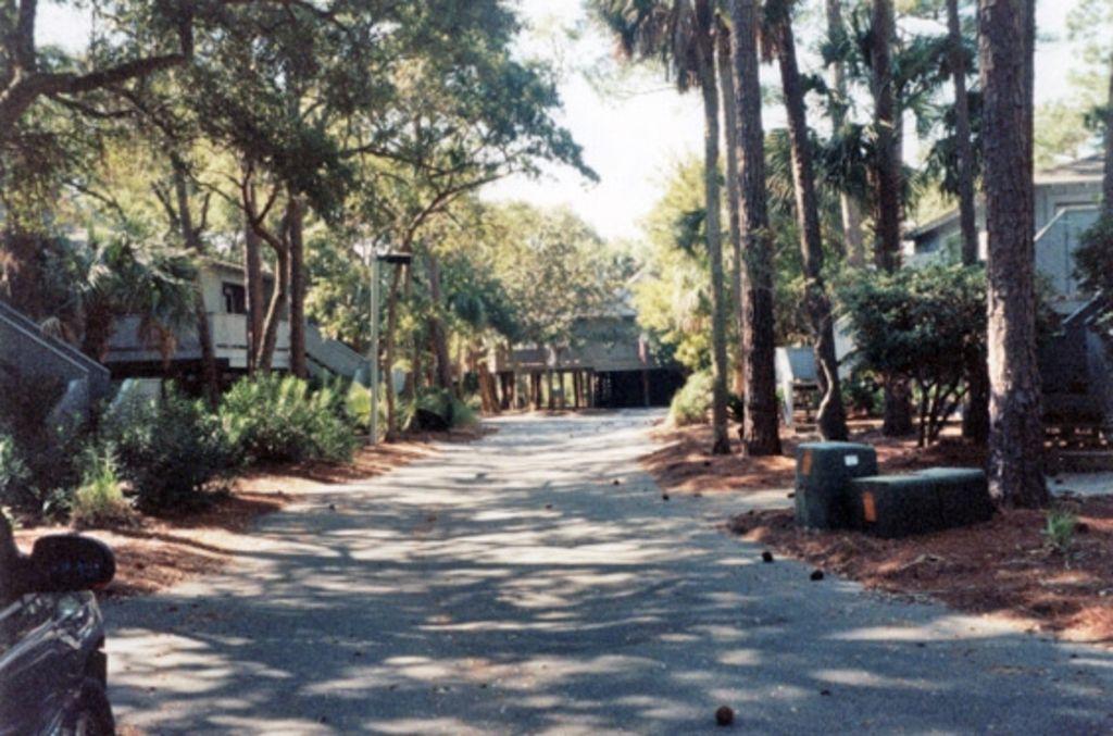 Dog Friendly Kiawah Cottage Pet Policy