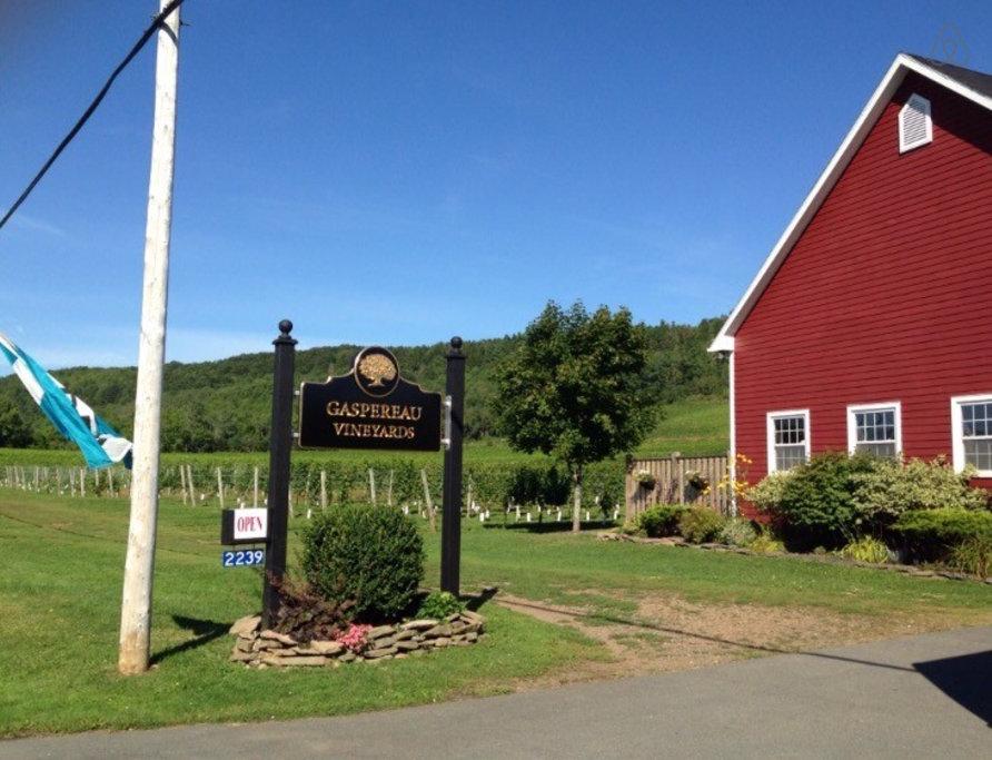 Wolfville Airbnb Rentals Pet Policy